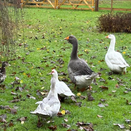 Le Du Cedre, Maison Proche Du Parc Asterix 別荘 Eve