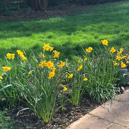 Le Du Cèdre, Maison Proche Du Parc Astérix *
