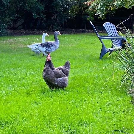 Le Du Cedre, Maison Proche Du Parc Asterix * Eve