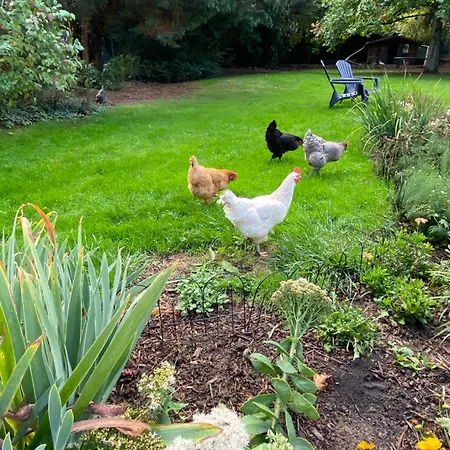 Сasa de vacaciones Le Du Cèdre, Maison Proche Du Parc Astérix