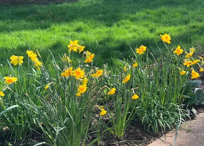 Le Du Cedre, Maison Proche Du Parc Asterix *