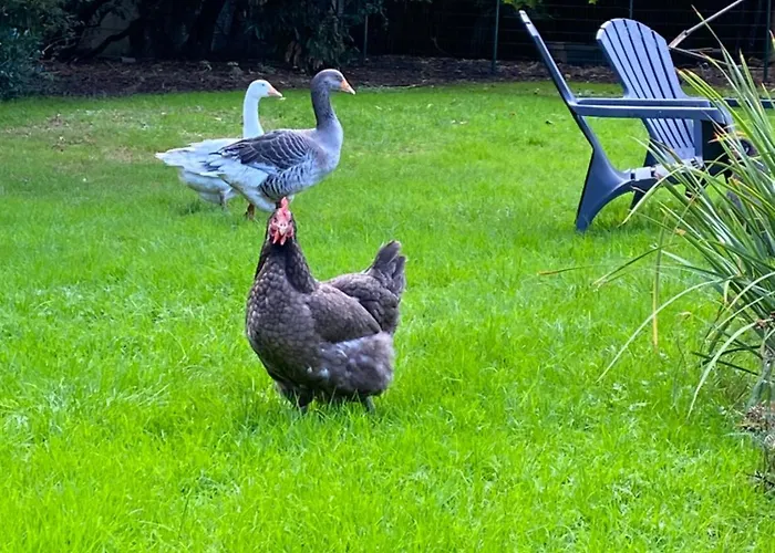 Le Du Cedre, Maison Proche Du Parc Asterix * Eve