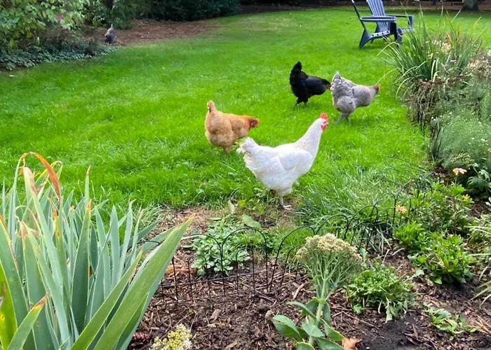 Dom wakacyjny Le Du Cedre, Maison Proche Du Parc Asterix